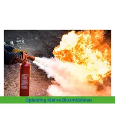 Kleine blusmiddelen